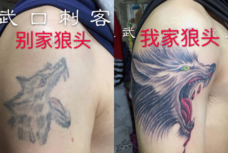 别家狼头和我家狼头对比纹身图片