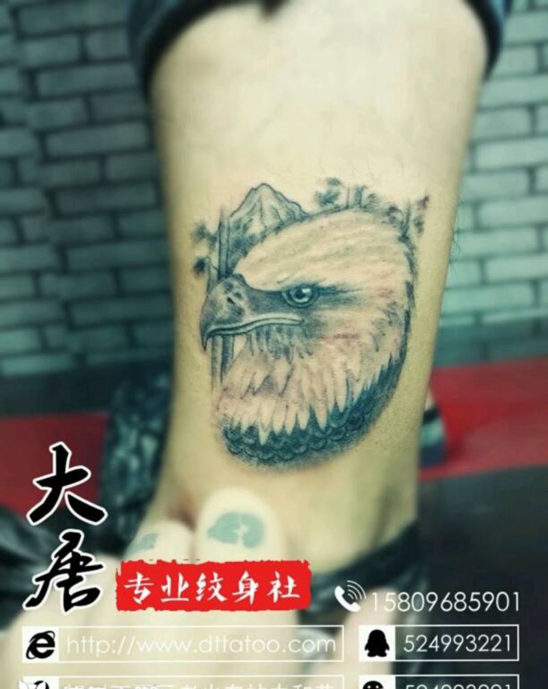 鹰纹身图片_￥300纹身图案