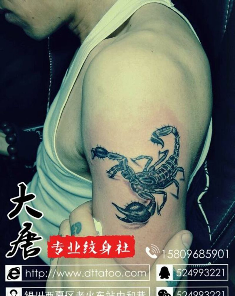 蝎纹身图片_银川宁夏刺青成品纹身图案