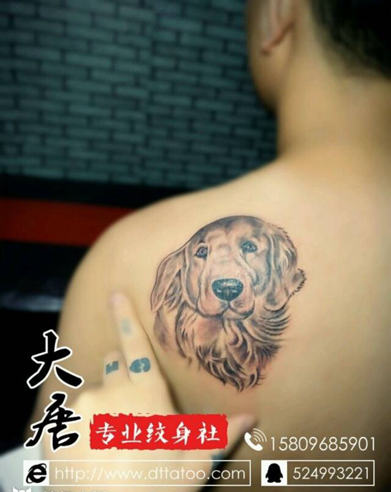 金毛纹身图片_银川大唐￥700纹身图案