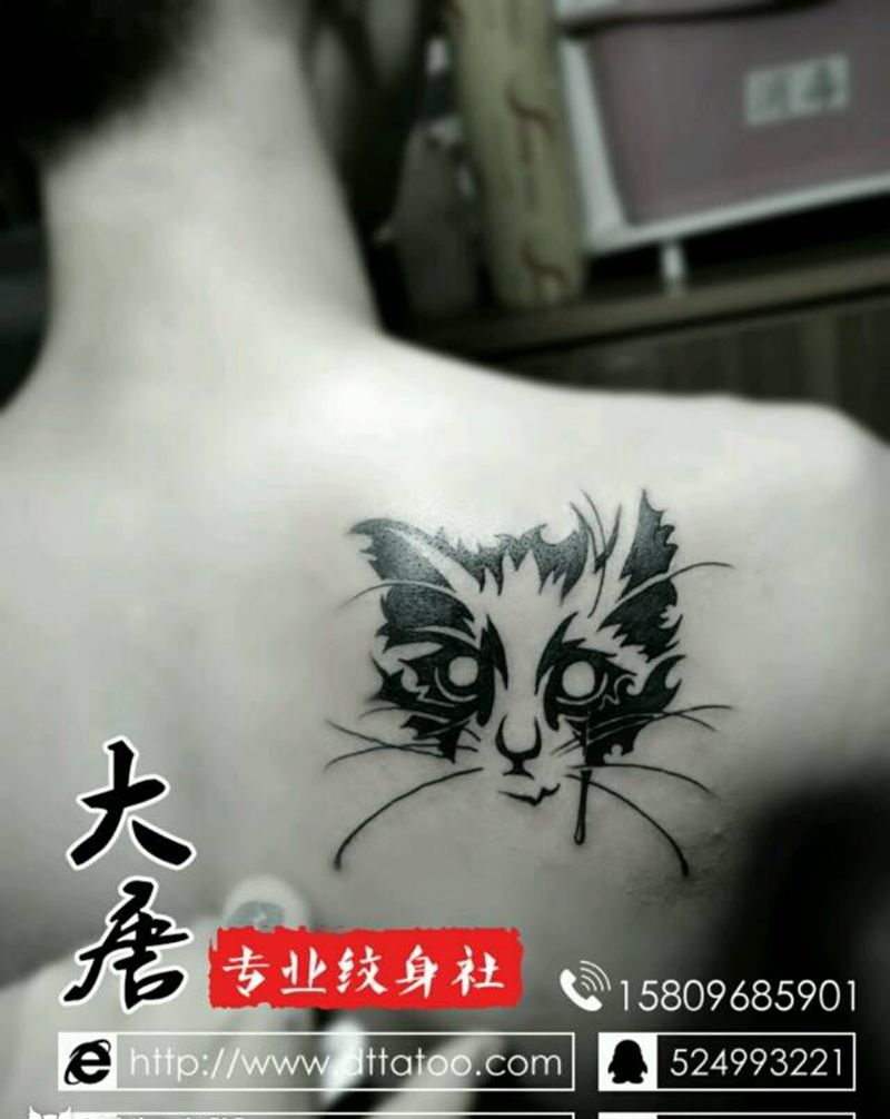 猫2纹身图片_银川大唐纹身图案