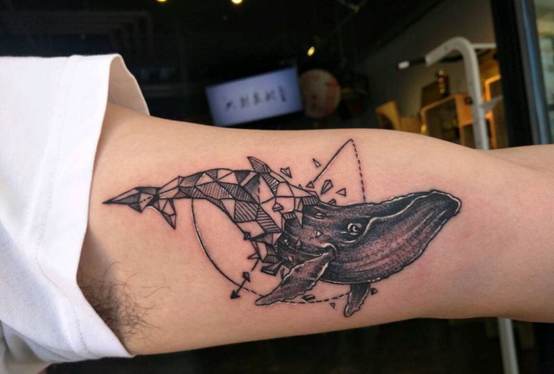 点刺鲸纹身图片_手臂动物成品纹身图案