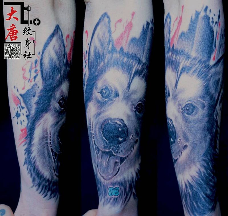 二哈纹身图片_银川刺青大唐纹身图案