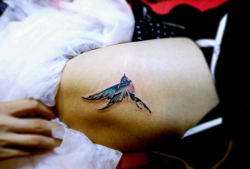鸟纹身图片_欧美纹身图案