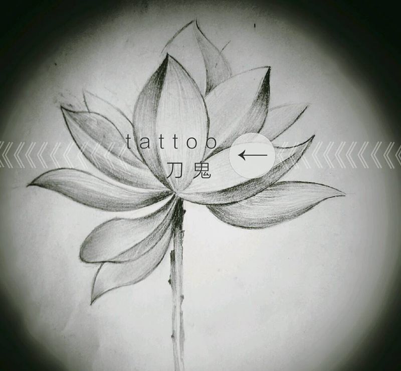 荷花，屁股纹身图片_颈部腰部背部臀部腿部手部脚部手稿纹身图案
