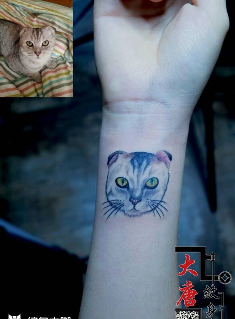 猫纹身图片_银川刺青大唐纹身图案