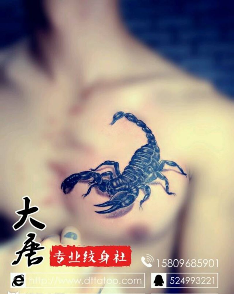 蝎子纹身图片_银川大唐￥500纹身图案