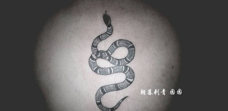 蛇纹身图片