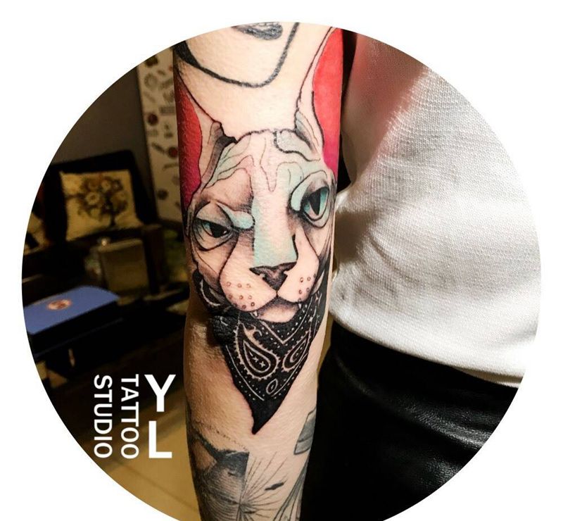 司芬克斯纹身图片