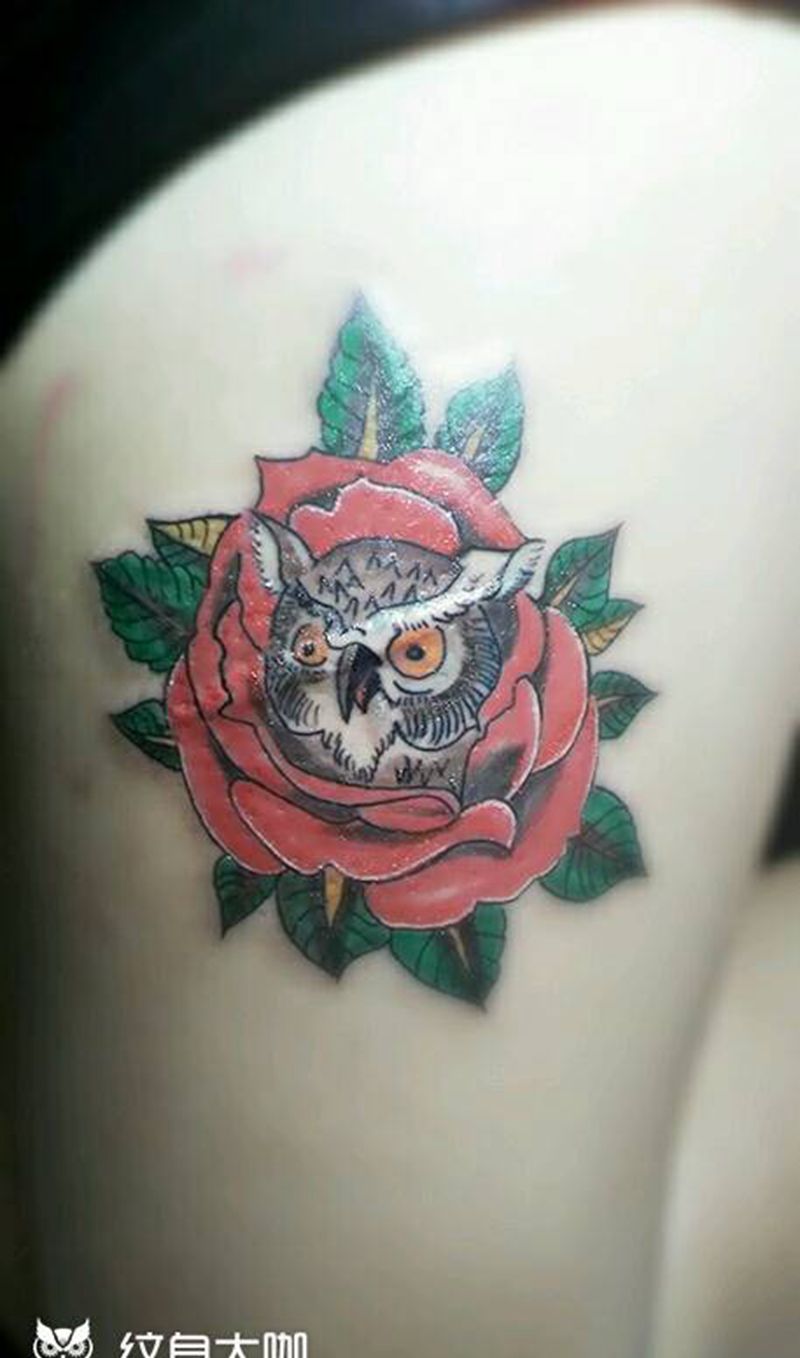 玫瑰猫头鹰纹身图片