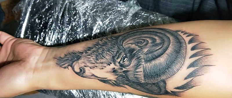 欧美羊头纹身图片