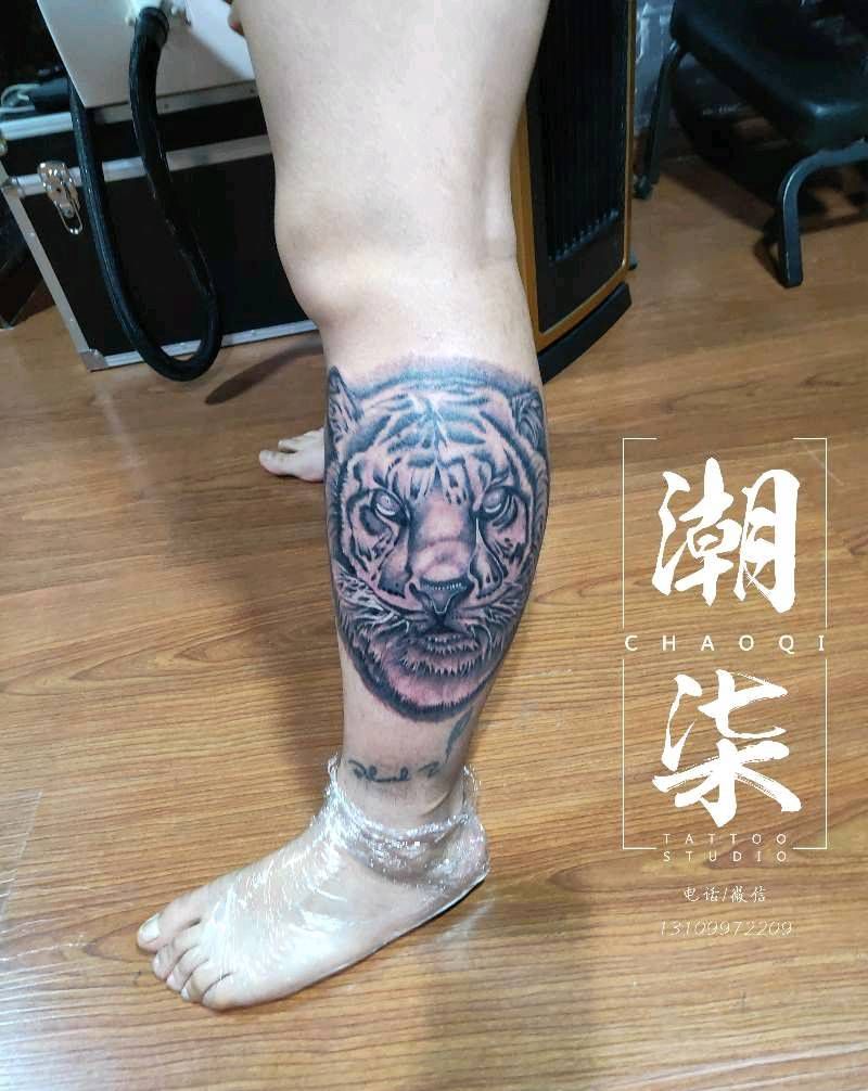 大老虎纹身图片