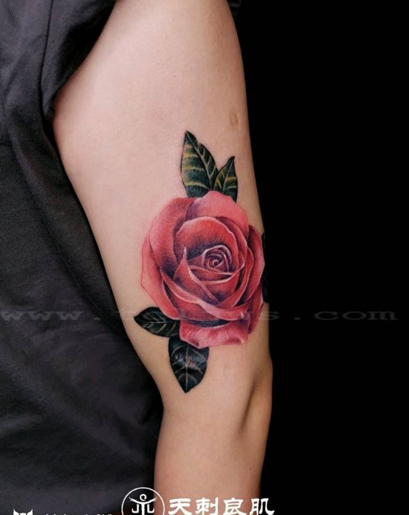 玫瑰花纹身图片_手臂欧美写实玫瑰花纹身图案