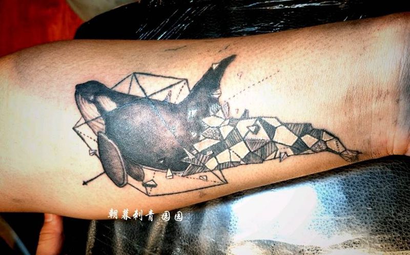 鲸纹身图片