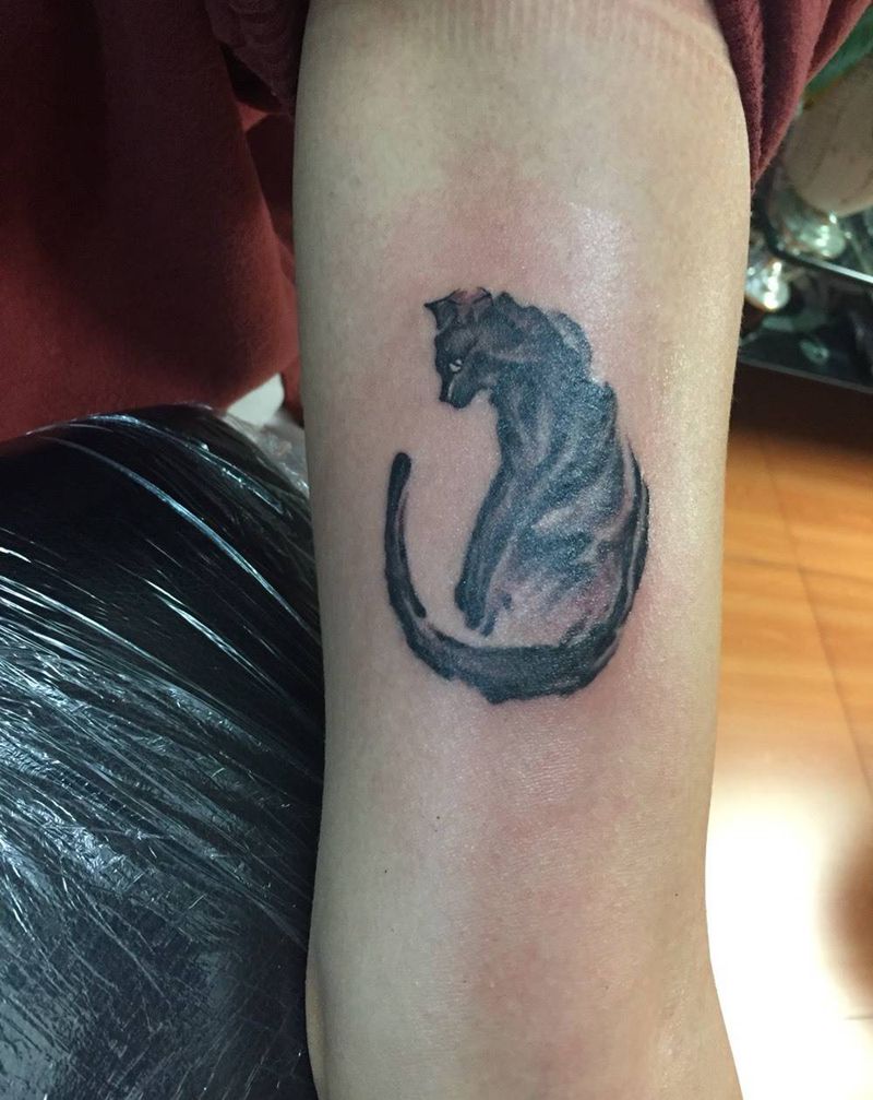 猫纹身图片