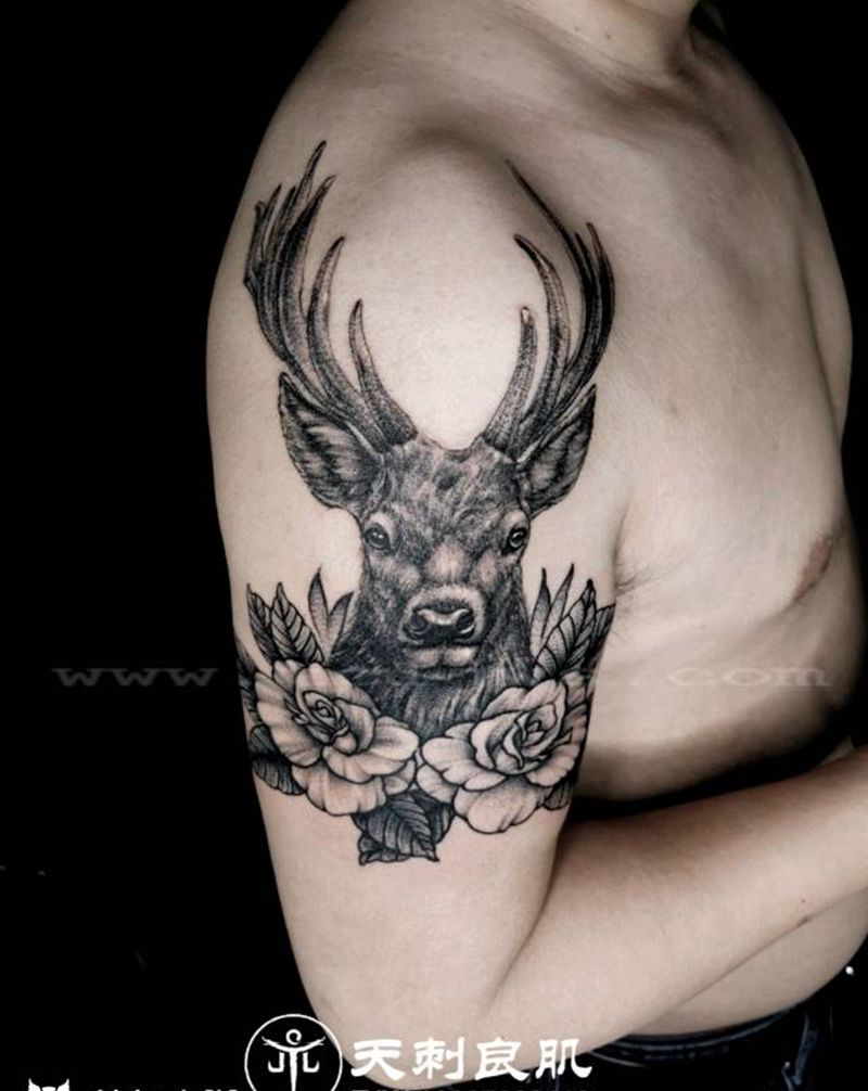 鹿纹身图案纹身图片_手臂欧美写实纹身图案
