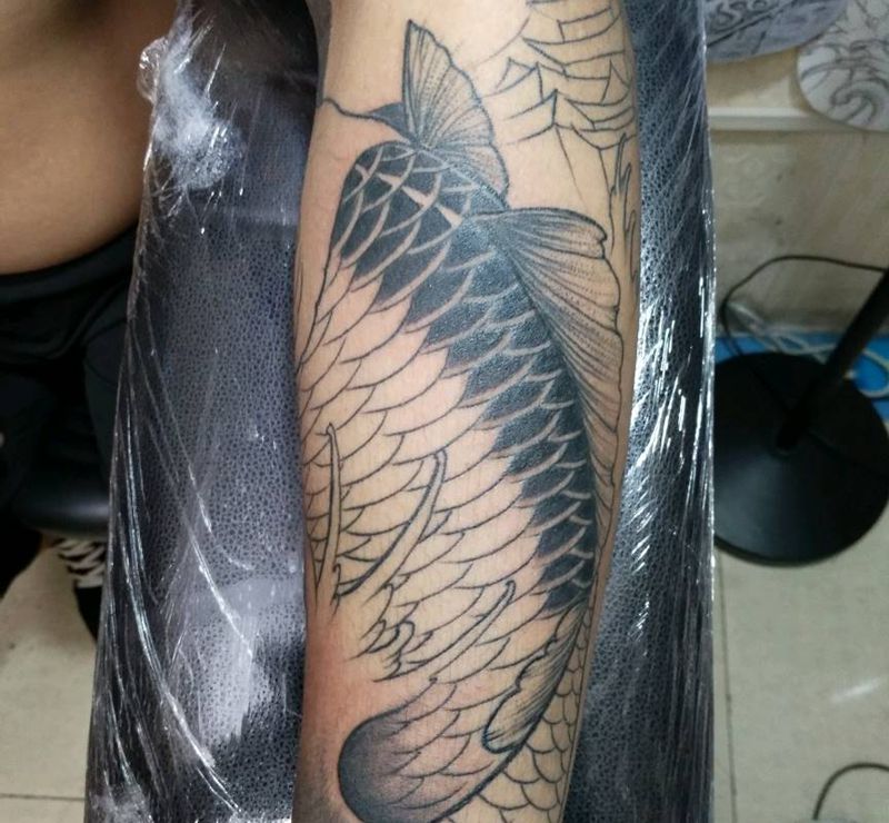 小臂 鲤纹身图片_手臂传统动物成品纹身图案