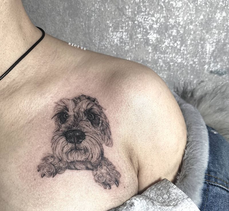 雪纳瑞纹身图片_肩部点刺欧美写实雪纳瑞宠物纹身图案