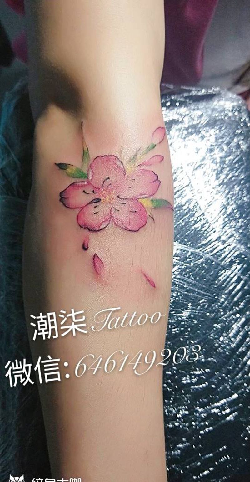 樱花纹身图片