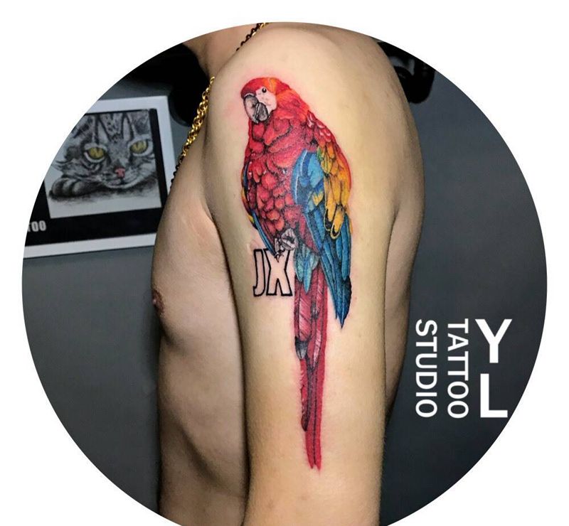 金刚鹦鹉纹身图片_成品手臂欧美写实动物纹身图案