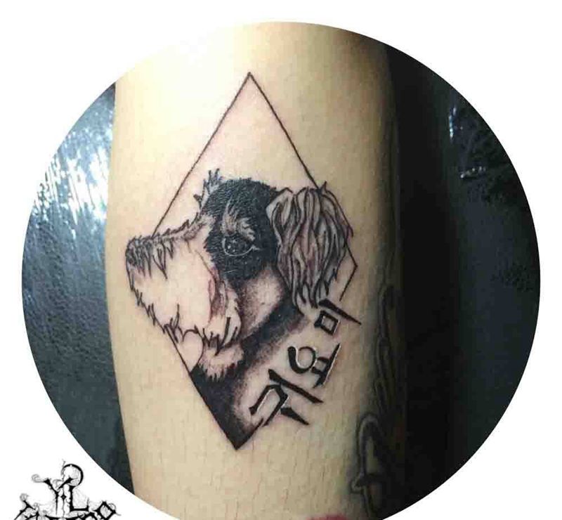 雪纳瑞纹身图片_动物欧美几何成品原创纹身图案