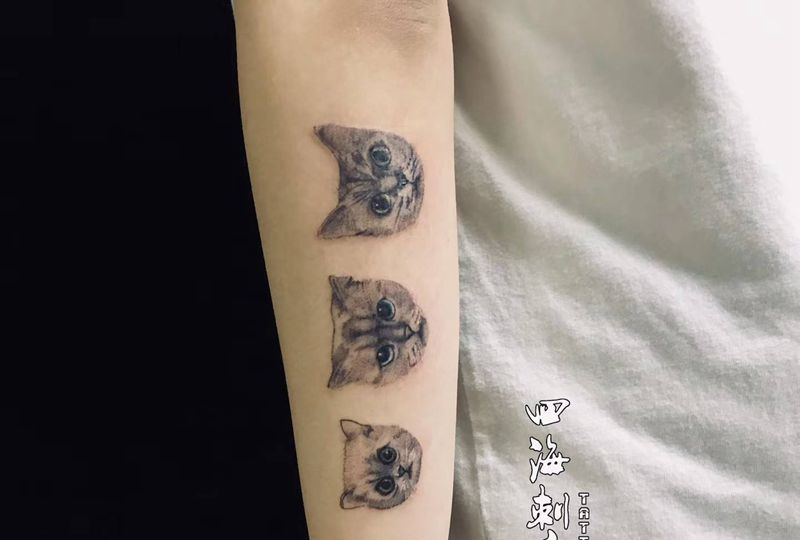 家里的三只小猫纹身图片_手臂欧美写实纹身图案