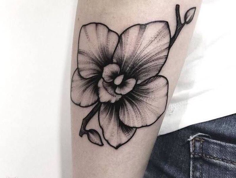 看图收费纹身图片