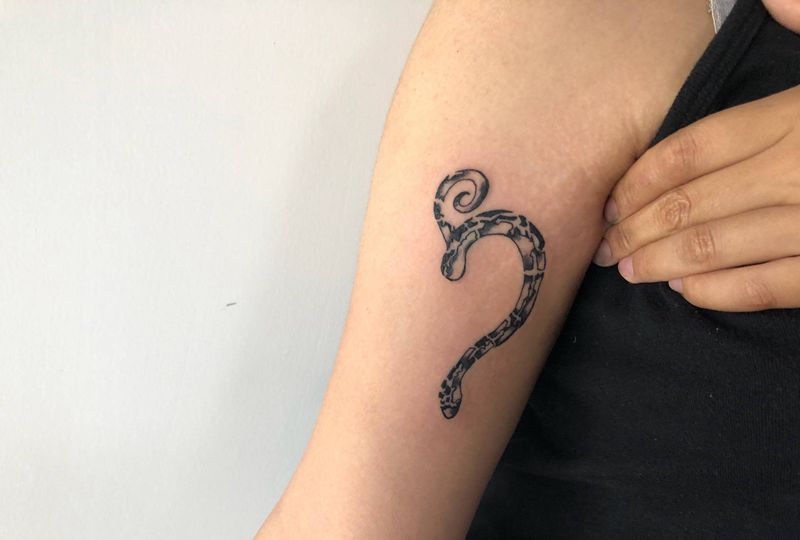 蛇纹身图片