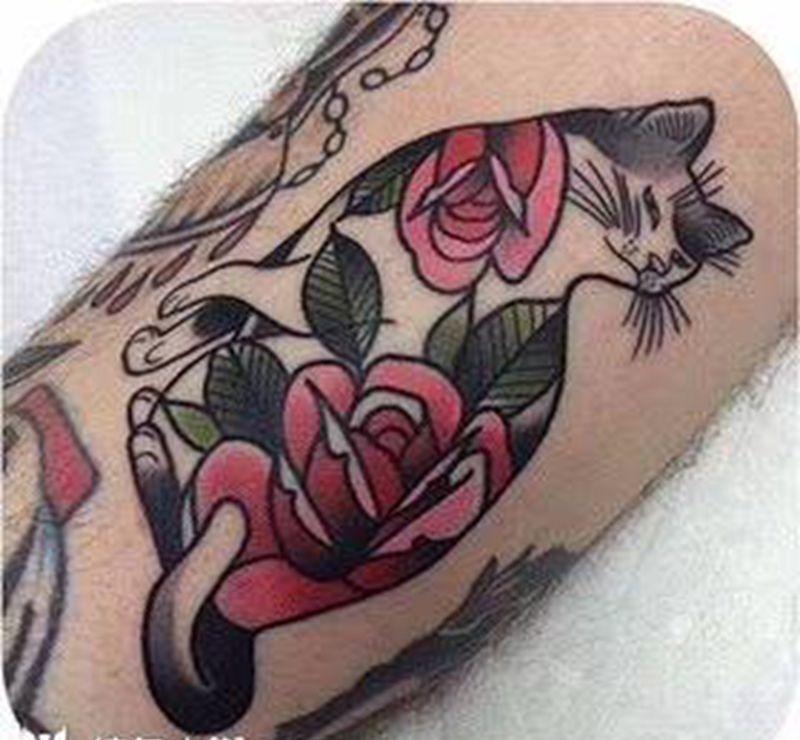猫纹身图片