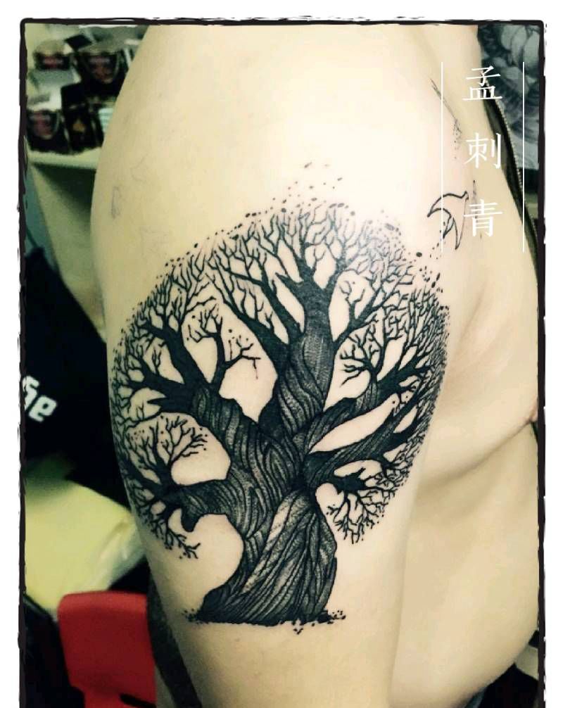 树纹身图片_手臂纹身图案