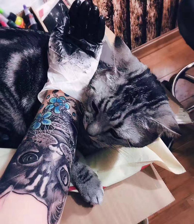 猫纹身图片
