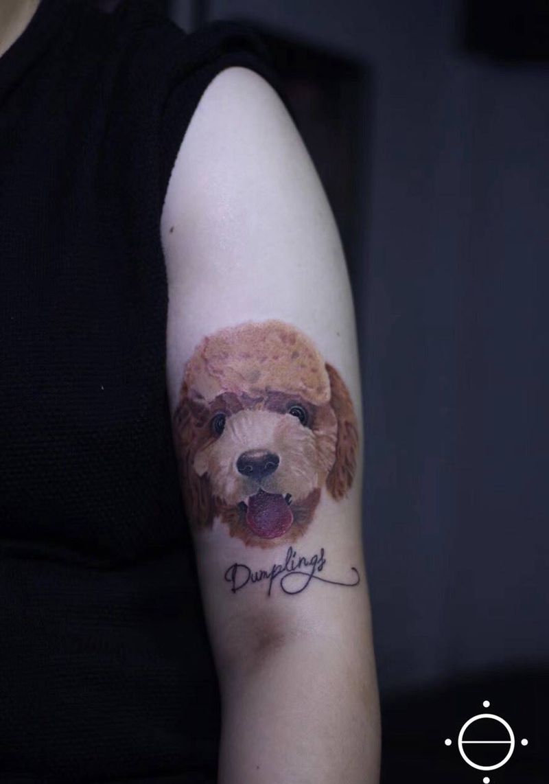 泰迪纹身图片