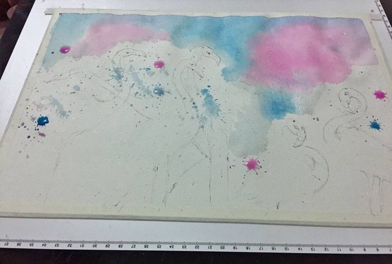 火烈鸟，挑一只纹