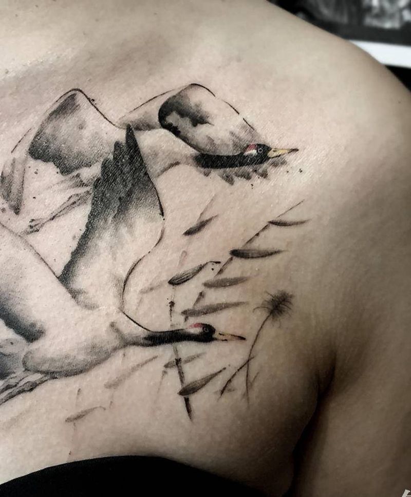 水墨风丹顶鹤纹身图片_胸部水墨纹身图案