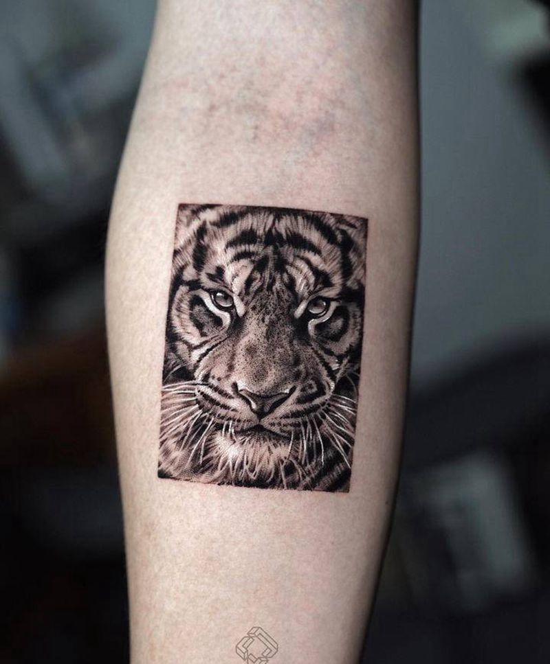 大老虎纹身图片_手臂欧美写实老虎纹身图案