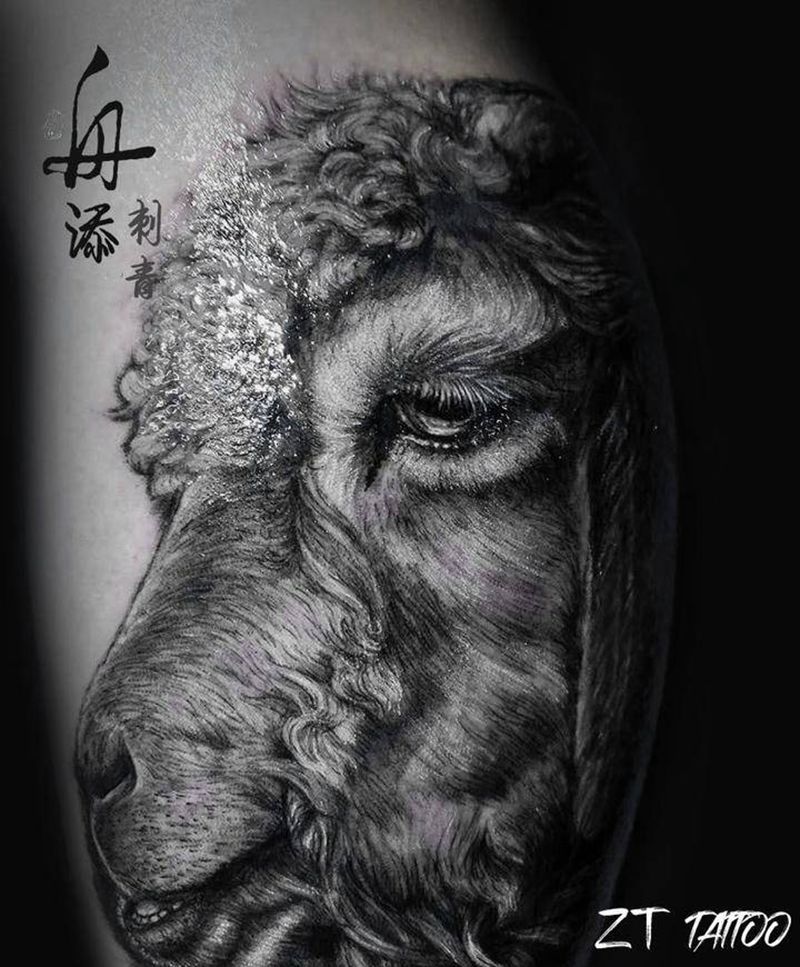绵羊纹身图片_腿部欧美写实绵羊纹身图案