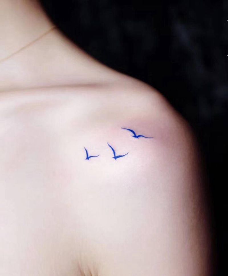 海鸥纹身纹身图片_肩部New School海鸥纹身图案