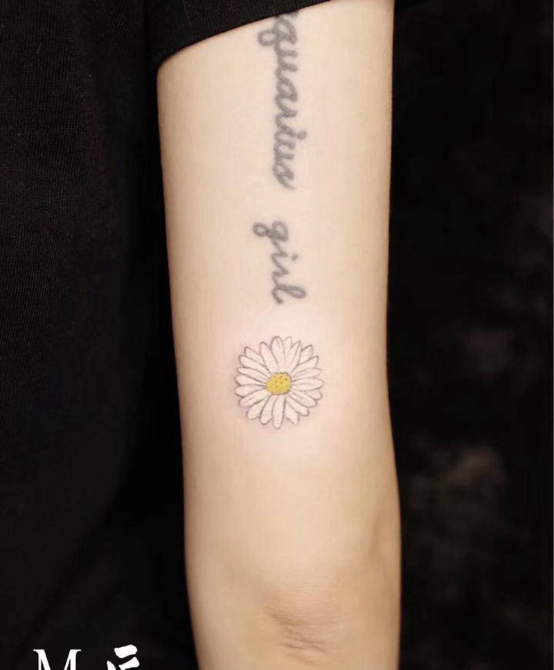 雏菊纹身图片_手臂新传统雏菊纹身图案