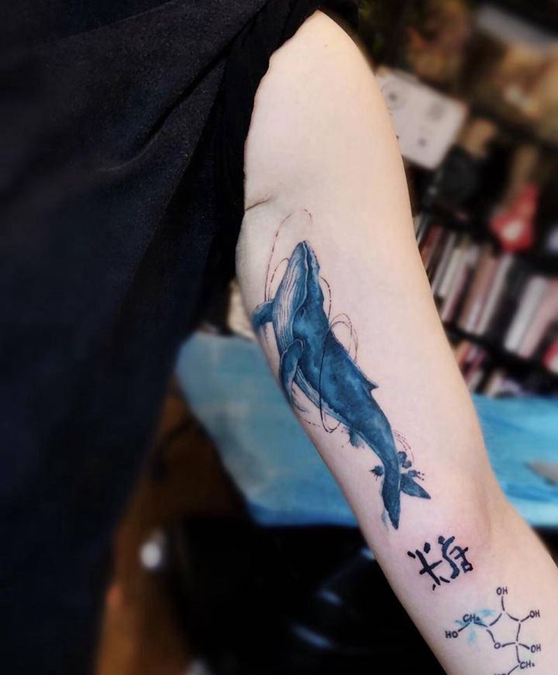 今日遮盖 鲸纹身图片_遮盖鲸纹身图案