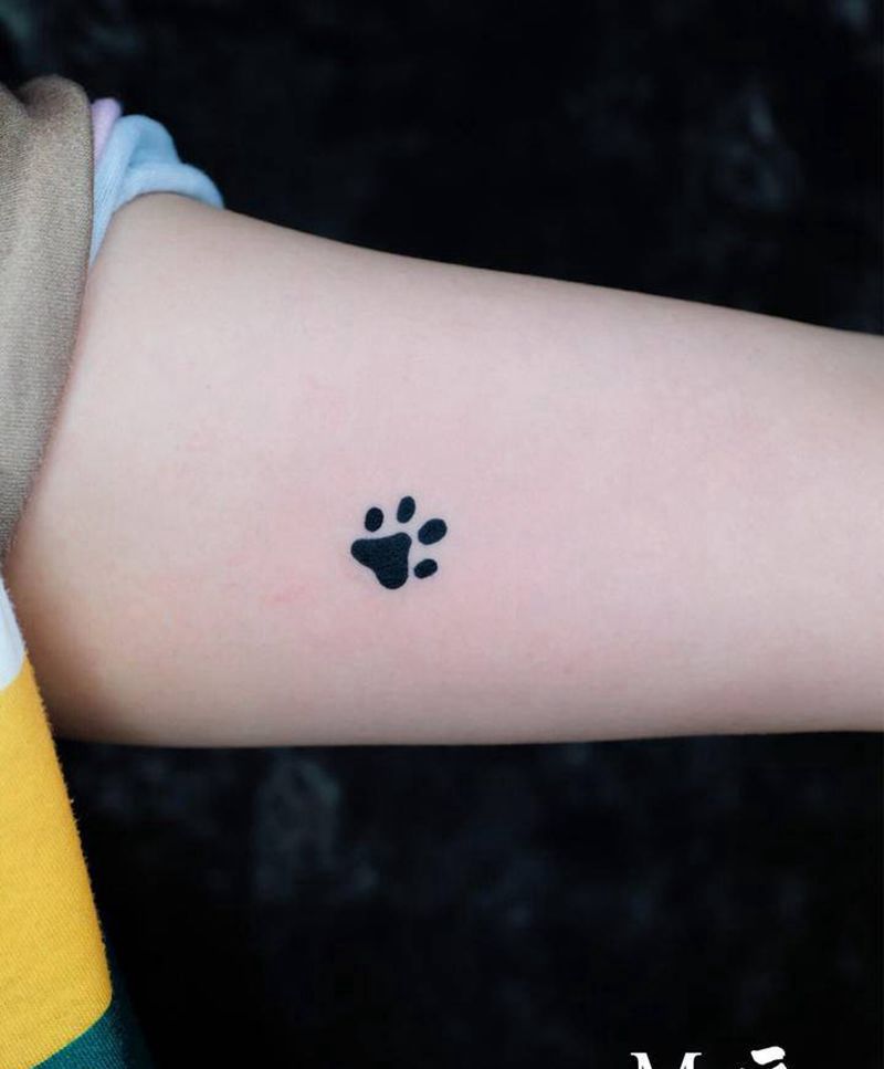 小清新 纹身纹身图片_手臂几何水墨猫爪小清新纹身图案