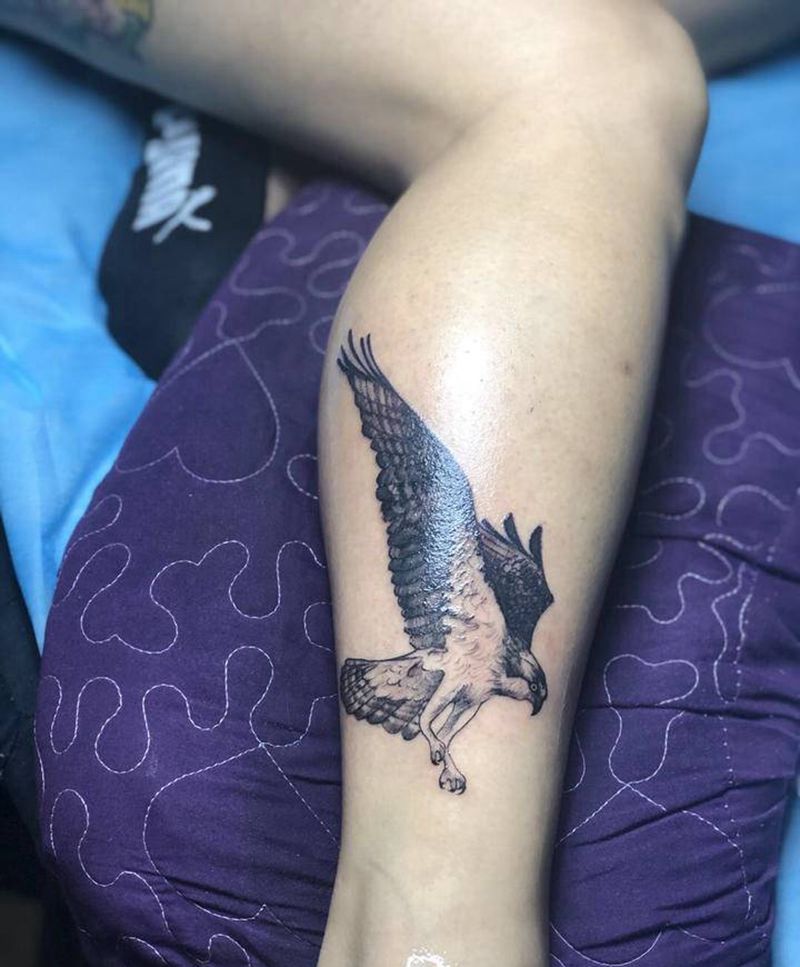 海东青纹身图片_欧美写实纹身图案