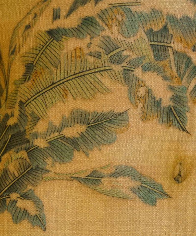 雪蕉纹身图片_腰部腹部新传统水墨芭蕉疤痕遮盖女生纹身纹身图案