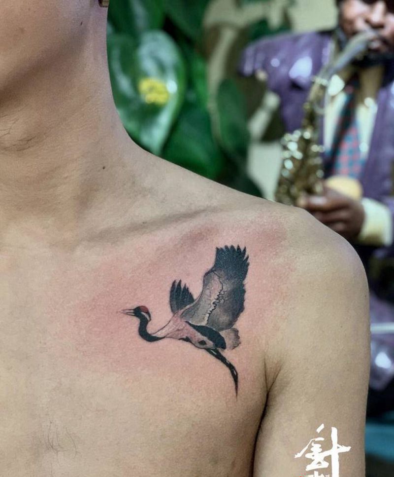鹤纹身图片_胸部纹身图案