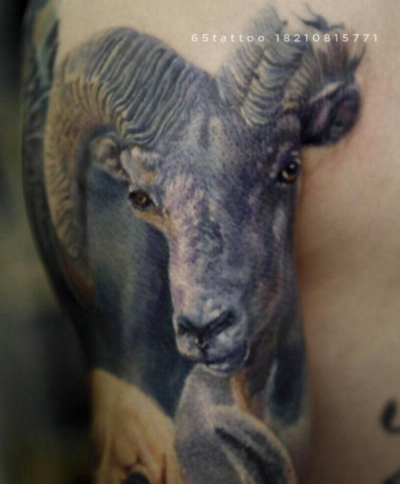 羊纹身图片_手臂欧美写实羊纹身图案