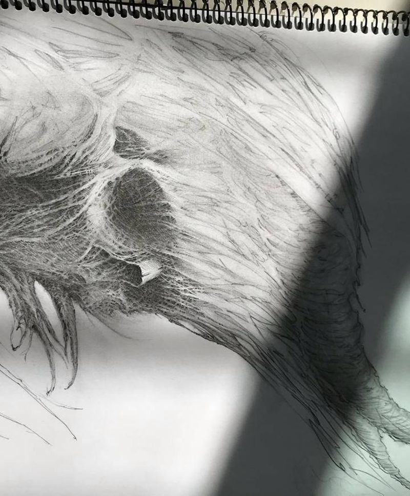 创作纹身图片_创作纹身图案