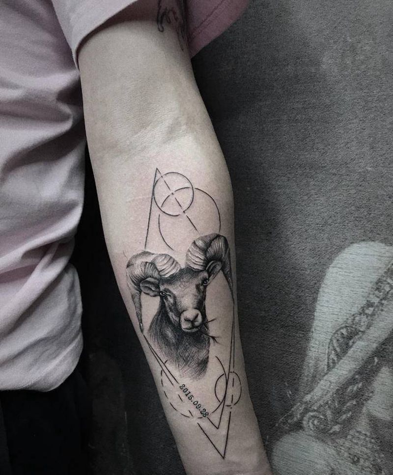 来自于父爱关于闺女羊