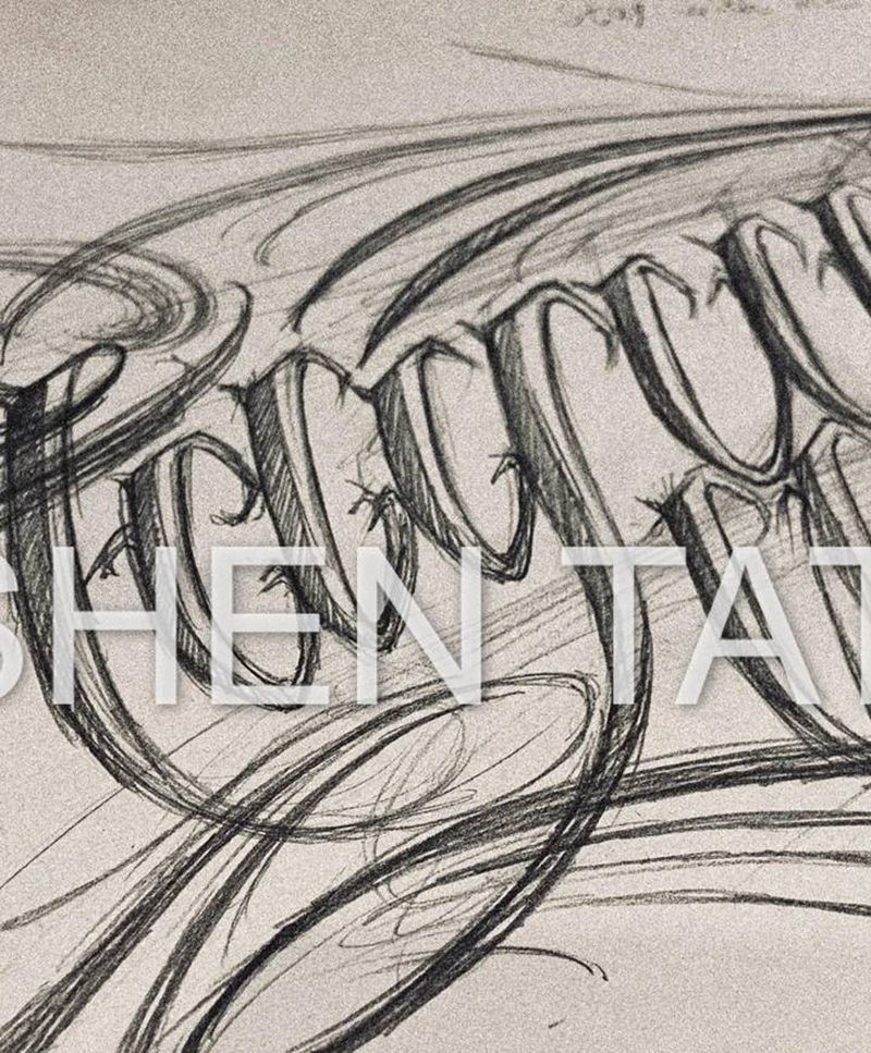 花体设计纹身图片_胸部花体字纹身图案