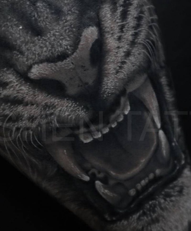 老虎纹身图片_腿部欧美写实纹身图案