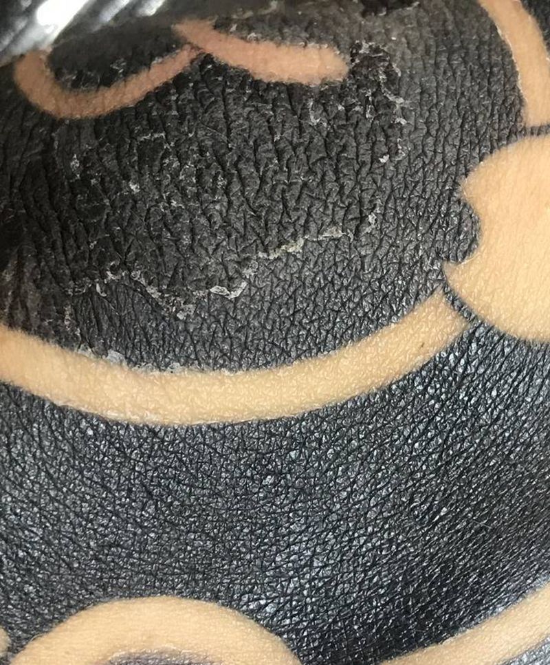 近期恢复中细节照片纹身图片_手臂老传统纹身图案