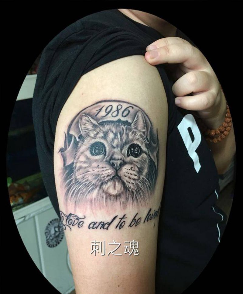 猫纹身图片_肩部写实动物纹身图案